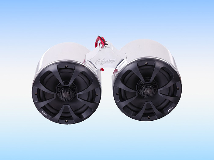 Лодочный динамик